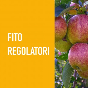 Fitoregolatori