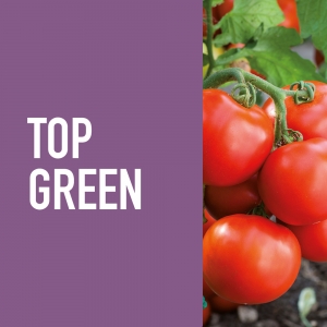 Top Green