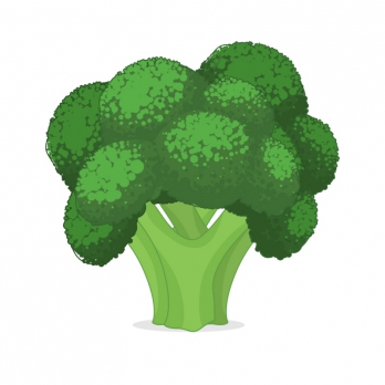 Broccolo