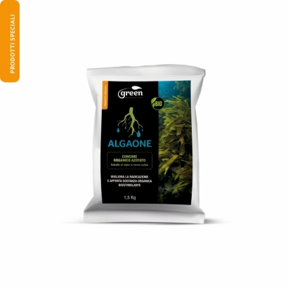 Algaone