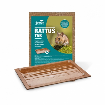 Rattus Tab